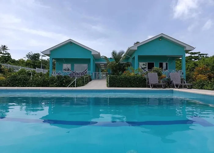 Blue Lizard House