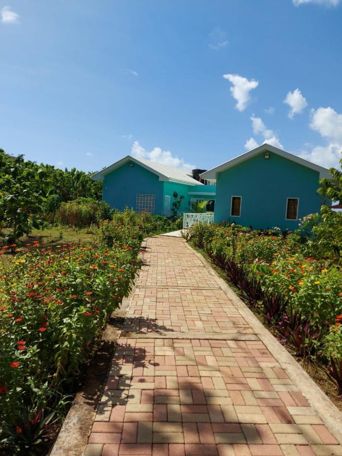 Blue Lizard House Alojamento