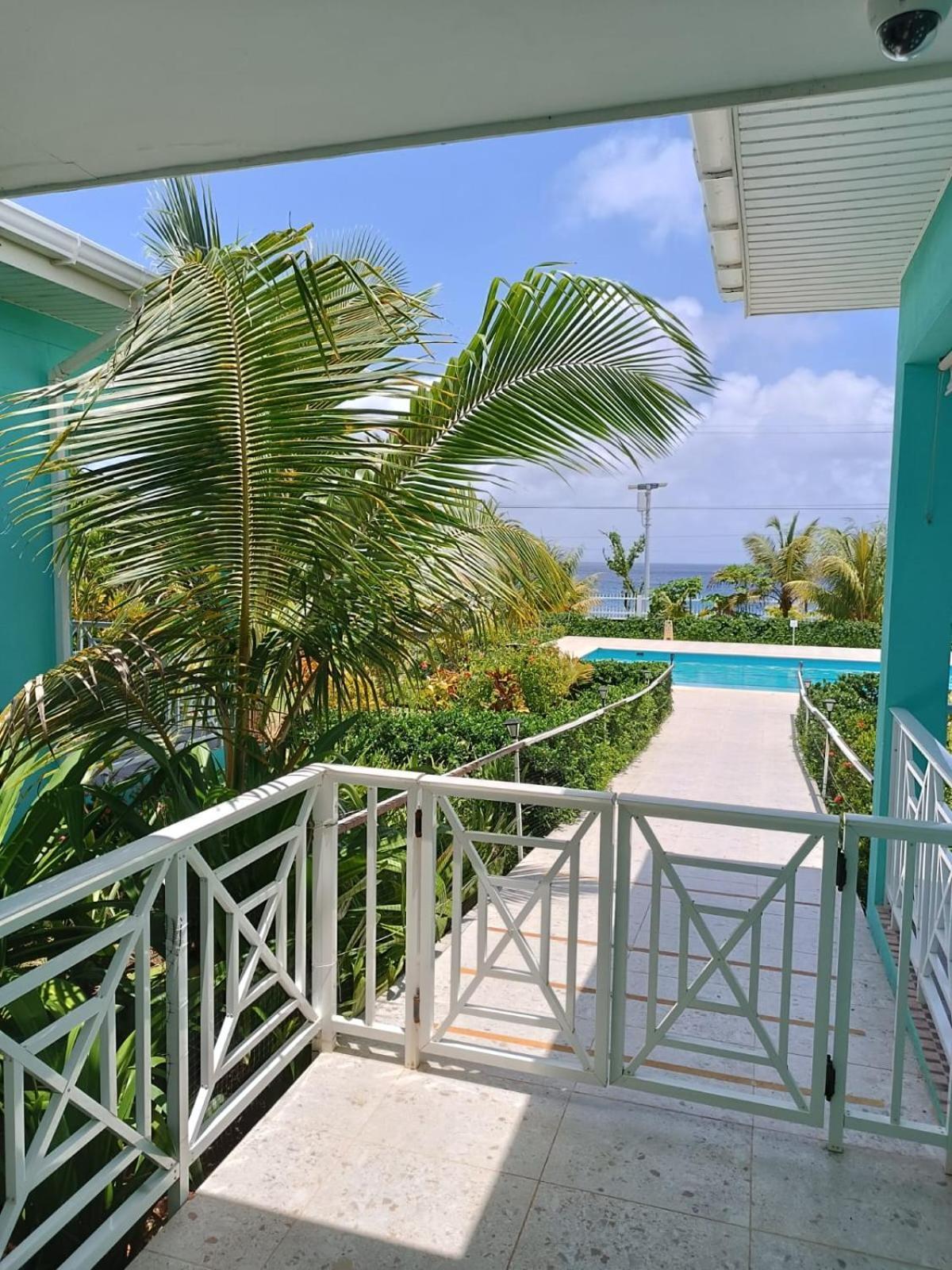 Blue Lizard House Alojamento *
