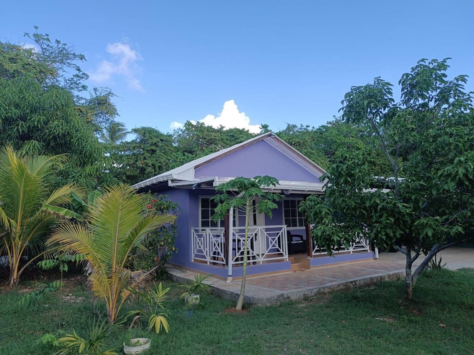 Alojamento Blue Lizard House